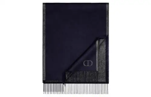 DIOR Scarves Men's Blue