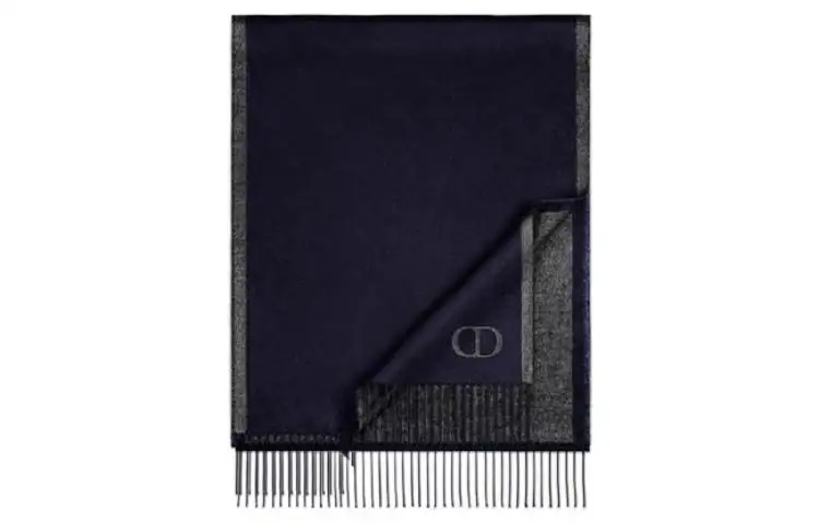 DIOR Scarves Men's Blue