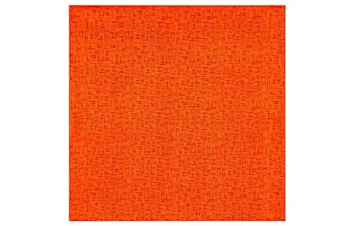 HERMES Dedale Silk Scarves Men's