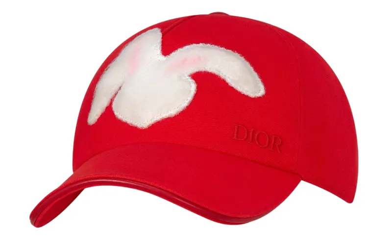 DIOR Baseball Caps Men's