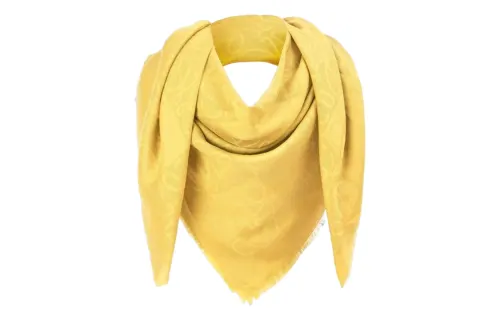 LOEWE Knit Scarves Women's Yellow