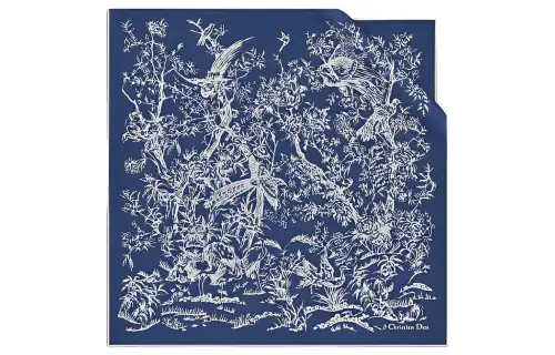 DIOR Scarves Women's Blue