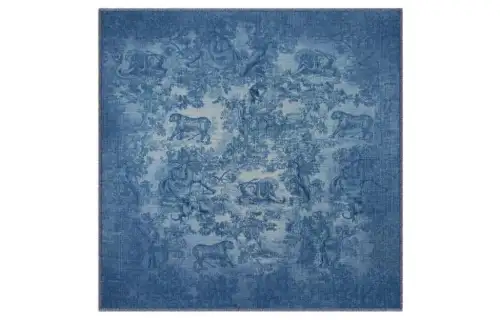 DIOR Scarves Women's Blue