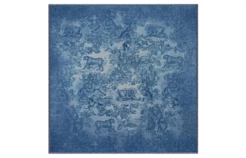 DIOR Scarves Women's Blue