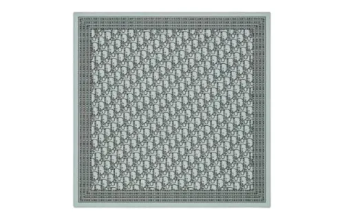 DIOR Scarves Men's Blue
