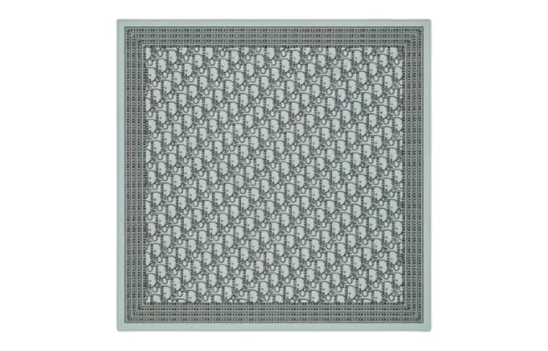 DIOR Scarves Men's Blue