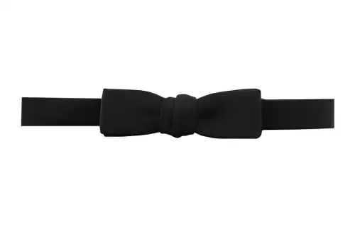 GUCCI Bow Tie