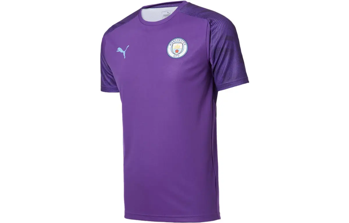 PUMA T-Shirts Men's Purple Crew Neck Moderate Straight Fit