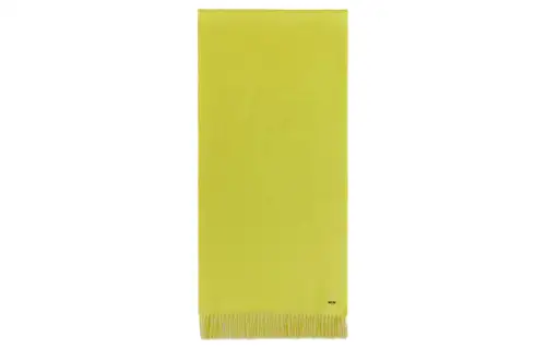 Loro Piana Knit Scarves Men's Neon Green