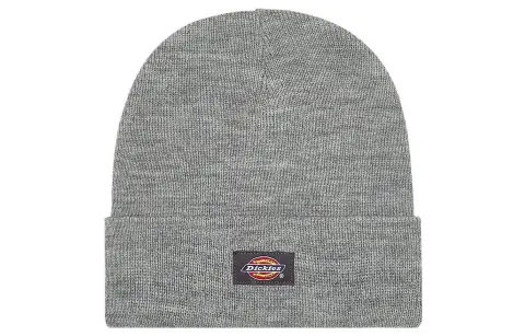 Dickies Beanies Unisex Gray