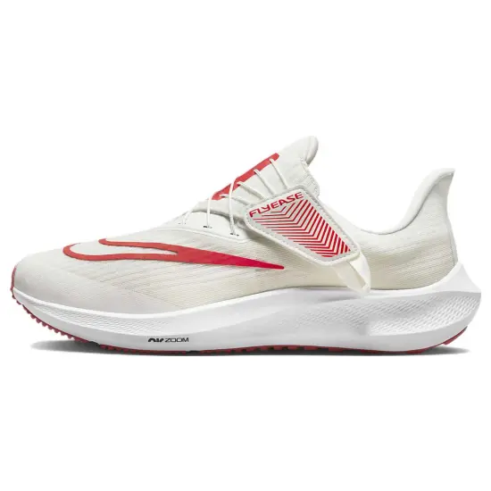 Nike Air Zoom Pegasus 39 FlyEase 'White Light Crimson'