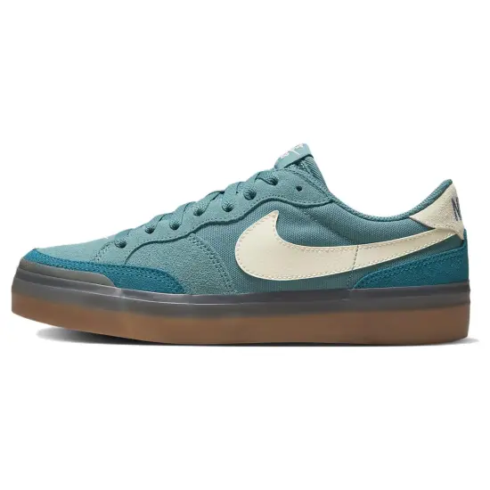 Nike SB Zoom Pogo Plus Noise Aqua Women's
