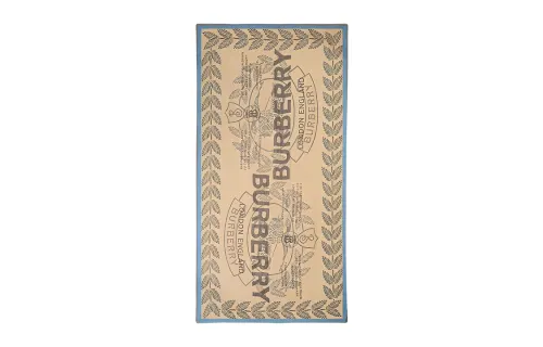 Burberry Scarves Women's Multicolor