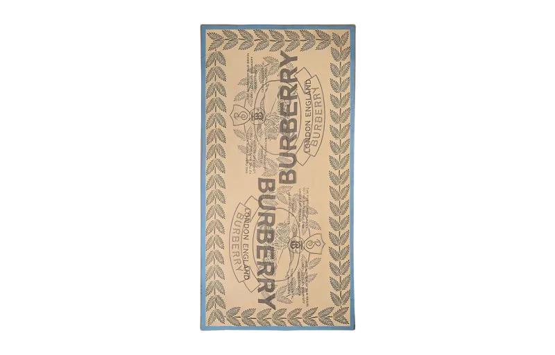 Burberry Scarves Women's Multicolor