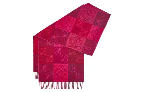 LOEWE Knit Scarves Women's
