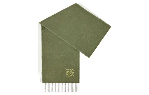LOEWE Wool Cashmere Knit Scarves Women's