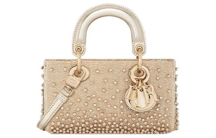 DIOR Lady D Joy Handbags