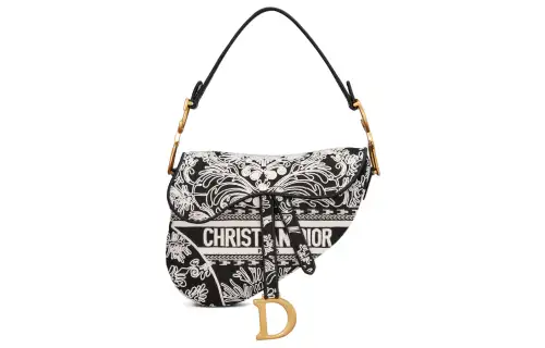 DIOR Saddle Handbags