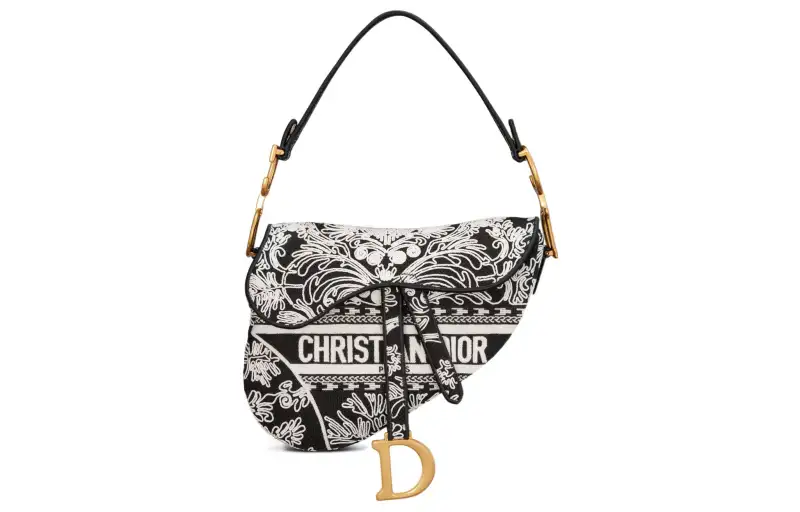 DIOR Saddle Handbags