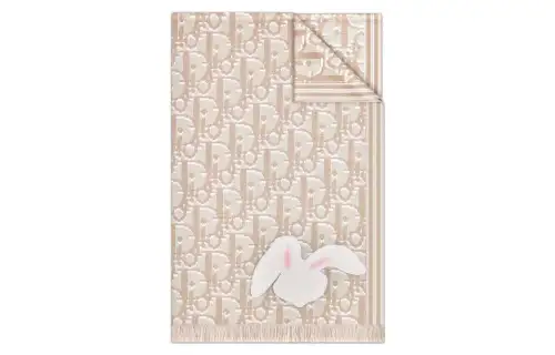 DIOR Knit Scarves Unisex Khaki