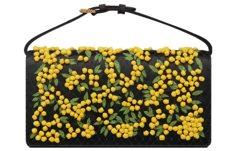 DIOR Handbags
