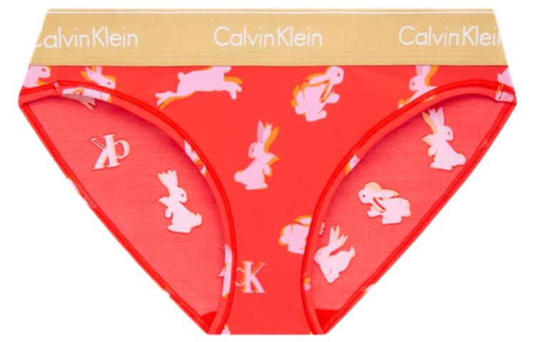 CK/Calvin Klein Logo  1