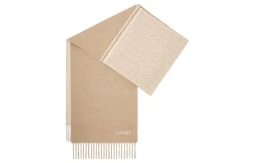 LOEWE Knit Scarves Women's