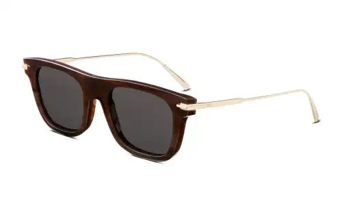 DIOR Sunglasses Men's Brown