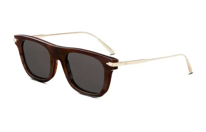 DIOR Sunglasses Men's Brown