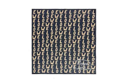 LOEWE Silk Scarves Women's Black