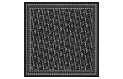 DIOR Scarves Men's Blue