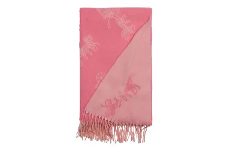 COACH Knit Scarves Unisex