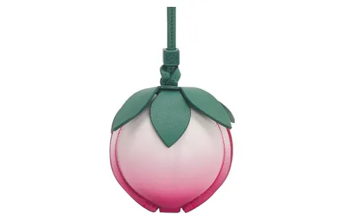 LOEWE Cow Leather Charm Bag Clutch Women's Pink/Green