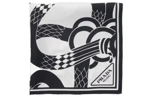 【Previous Season】snake-print twill scarf