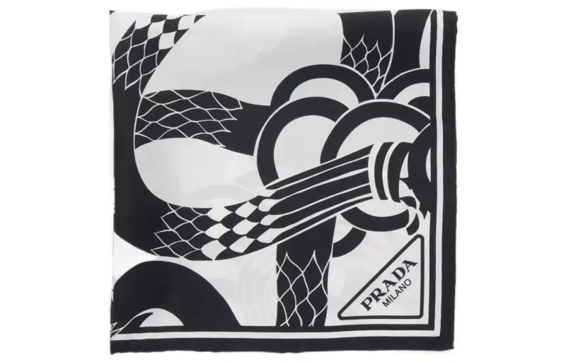 【Previous Season】snake-print twill scarf