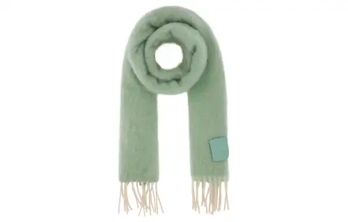LOEWE Knit Scarves Women's Green