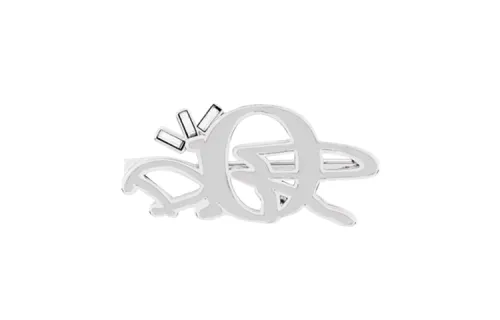 DIOR X Cactus Jack Brooch