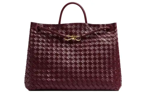 Bottega Veneta Andiamo Handbags