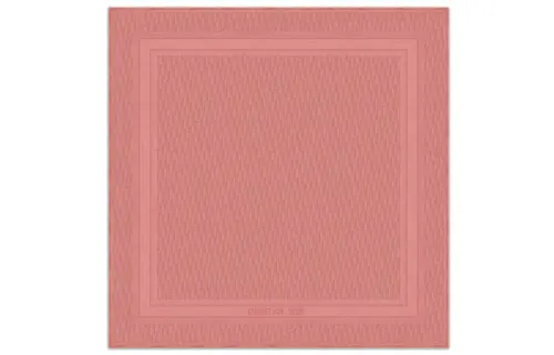 DIOR Scarves Women's Pink