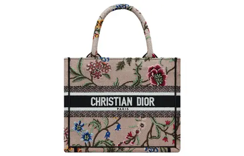 DIOR BookTote Handbags