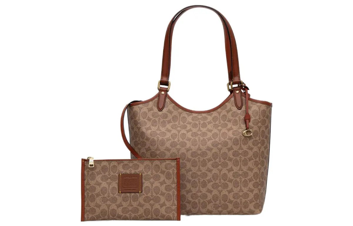 COACH Day Canvas With Calfskin Handbag, Shoulder Bag Large Women's Brown