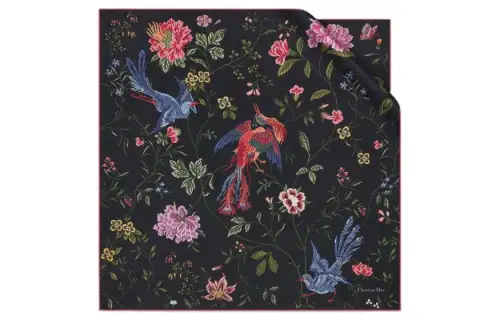 DIOR Scarves Women's Black