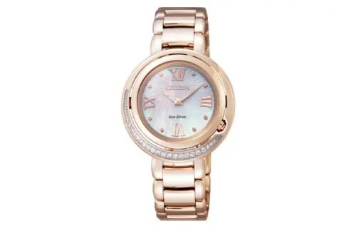 CITIZEN Ecology Drive Collection Light Powered Quartz Movement Stainless Steel Strap Watch