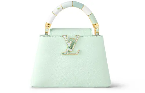 LOUIS VUITTON Capucines Handbags