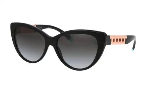 TIFFANY & CO. Cat Eye Frame Sunglasses