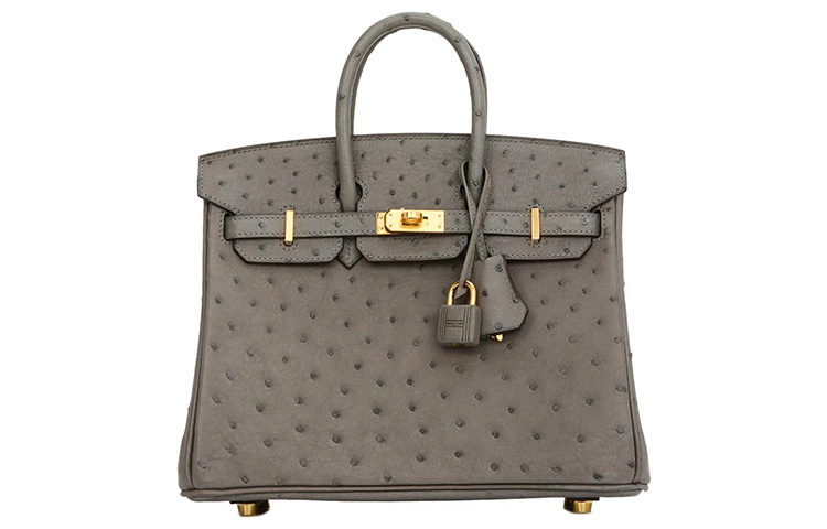 HERMES Birkin Ostrich Leather Birkin Bag Handbag 25 Women's 0L Grismeyer Rain Cloud Gray