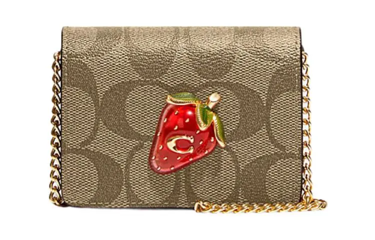 COACH Chain Cow Leather Wallets Mini Women's Brown & Red