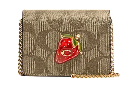 COACH Chain Cow Leather Wallets Mini Women's Brown & Red
