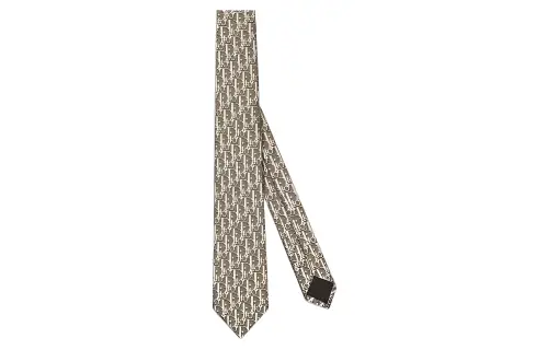 DIOR Ties Men's Brown