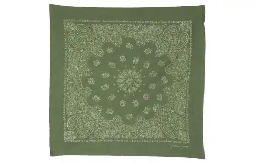 Golden Goose Knit Scarves Men's Green